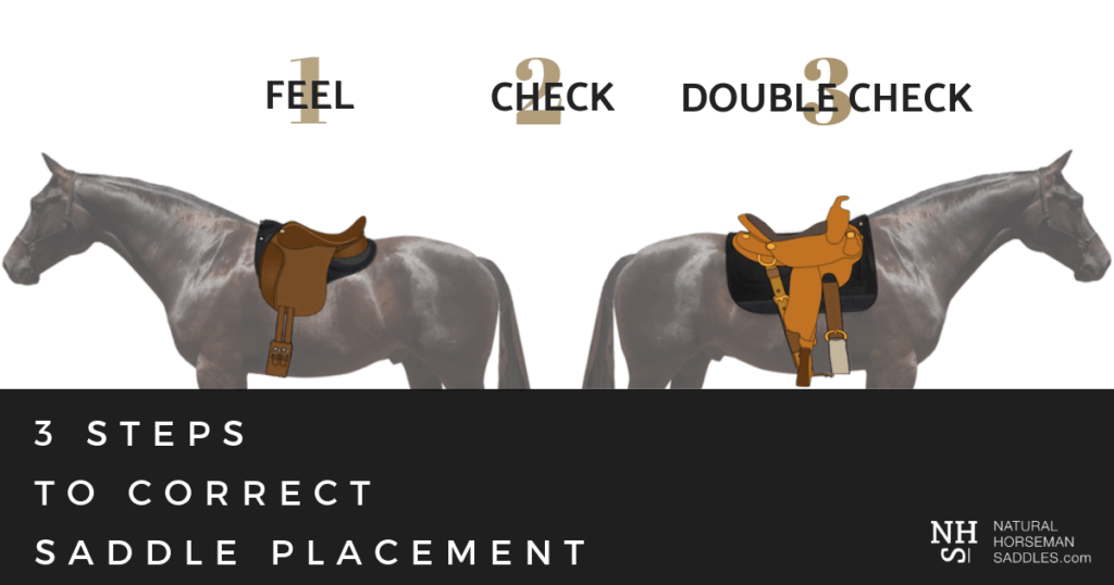 Choosing the Right Saddle for Horseback Riding