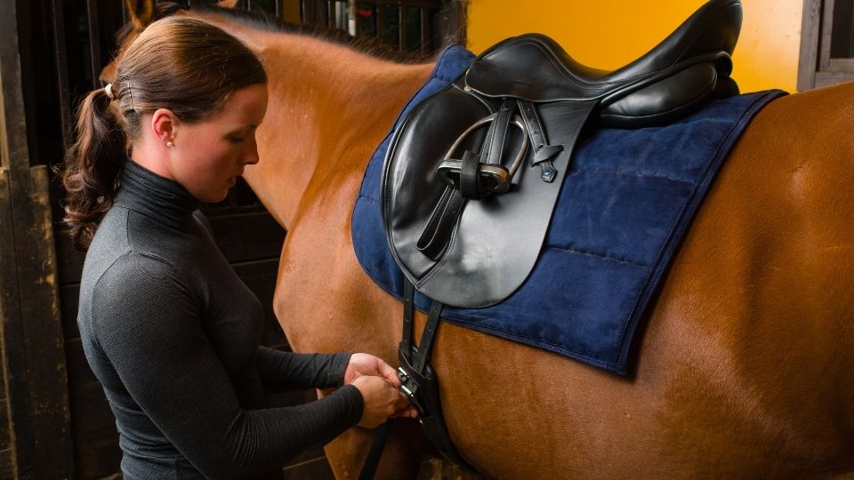 Choosing the Right Saddle for Horseback Riding