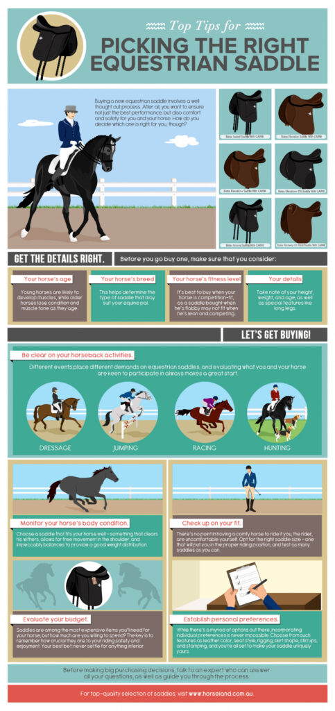 Choosing the Right Saddle for Horseback Riding