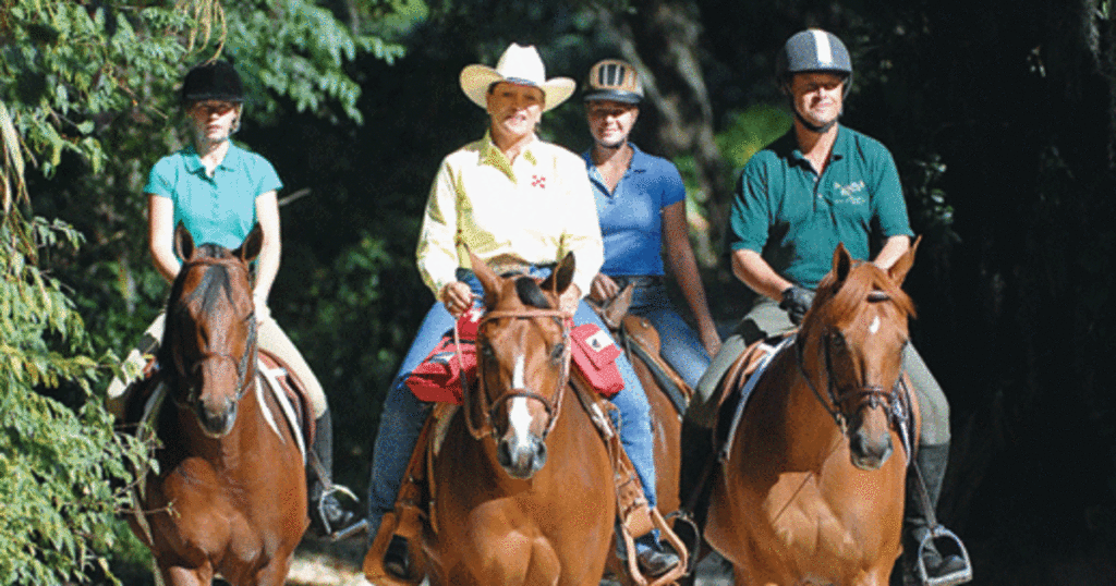 Discovering Horseback Riding Clubs and Associations