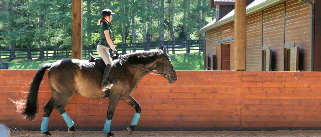 Exploring Different Horseback Riding Camps