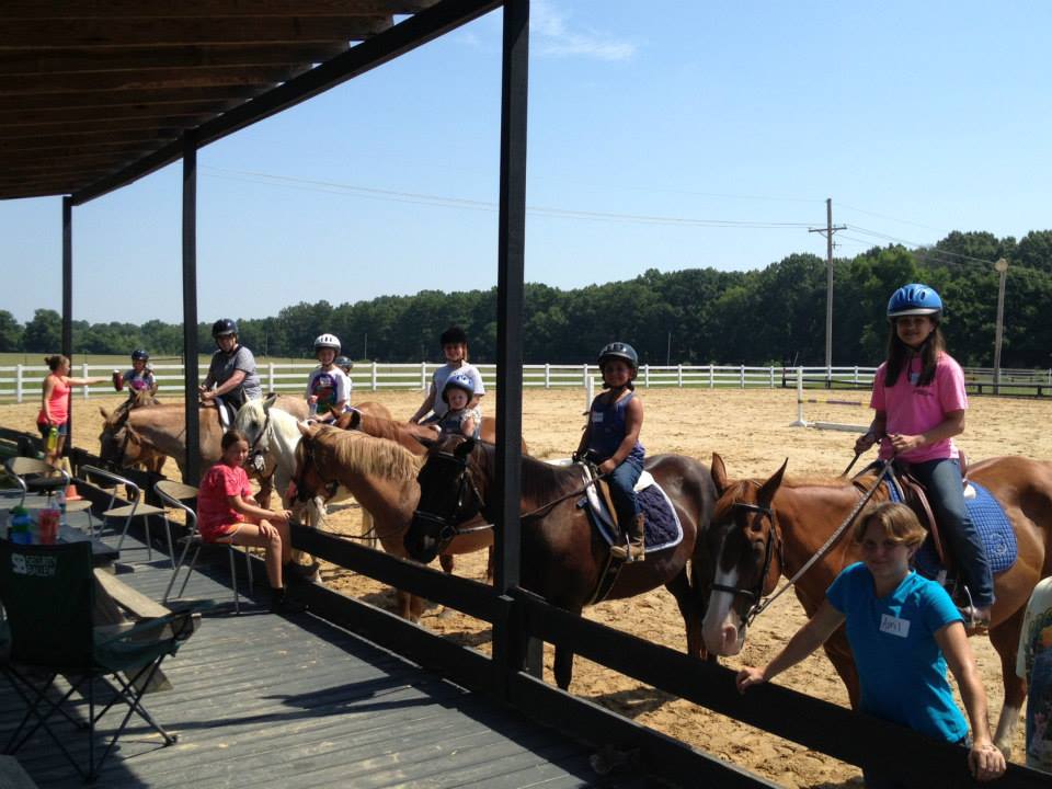 Exploring Different Horseback Riding Camps