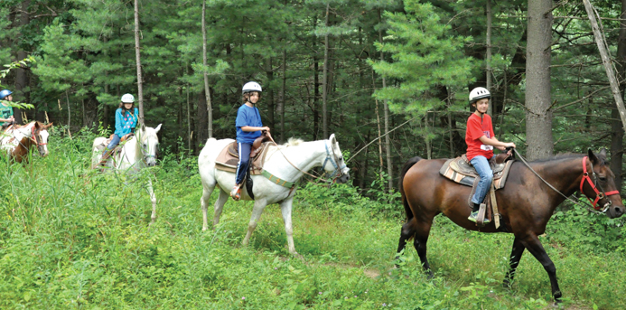 Exploring Different Horseback Riding Camps