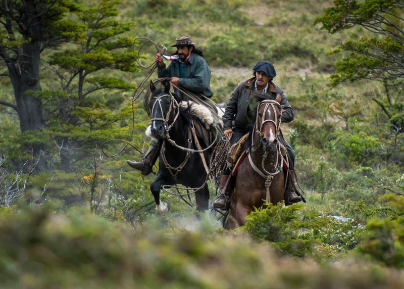 Exploring Different Horseback Riding Destinations