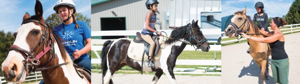 Exploring Different Horseback Riding Schools