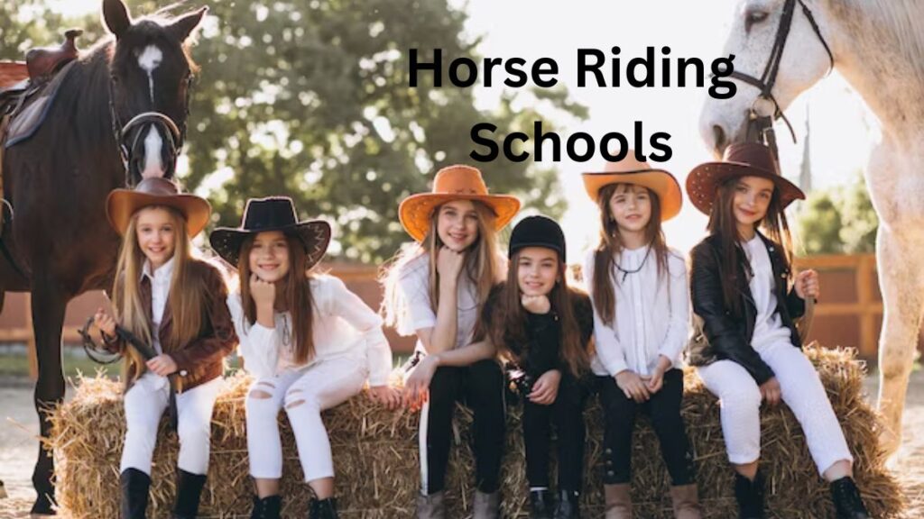 Exploring Different Horseback Riding Schools