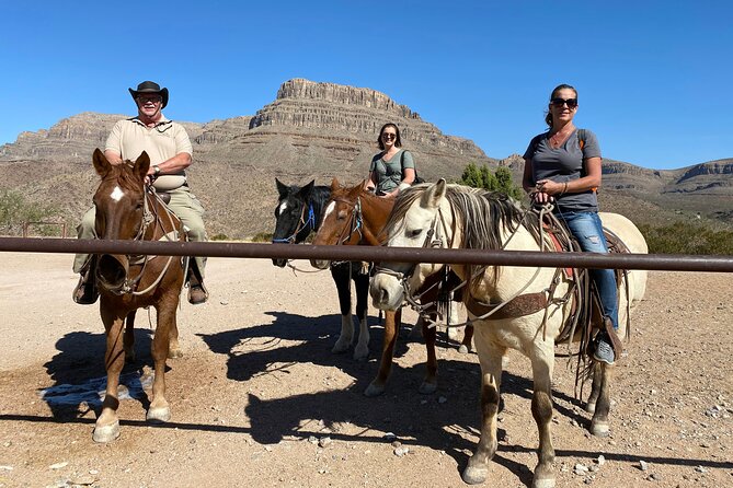 Exploring Different Horseback Riding Tours