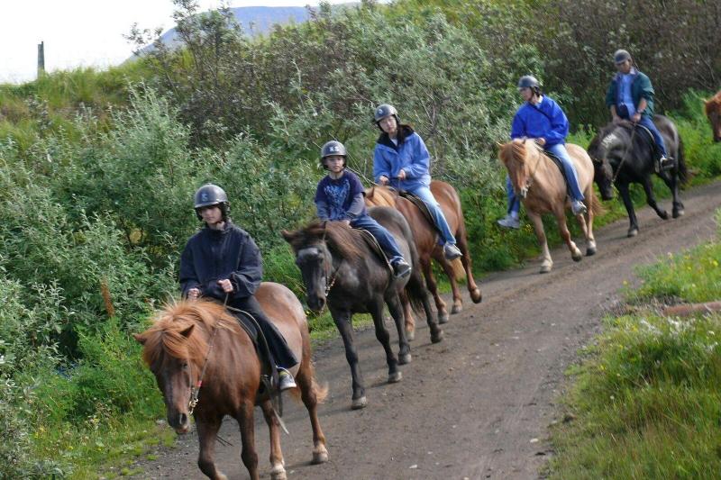 Exploring Different Horseback Riding Tours