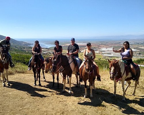 Exploring Different Horseback Riding Tours