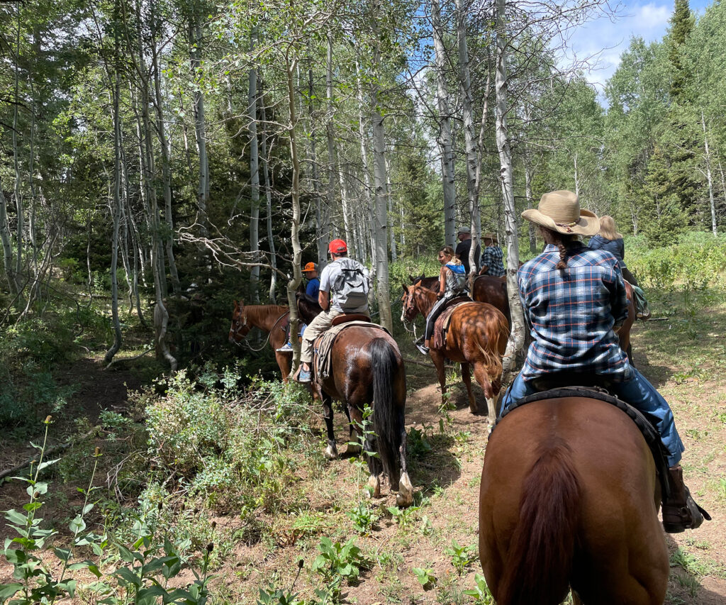 Exploring Different Horseback Riding Trails in Your Area