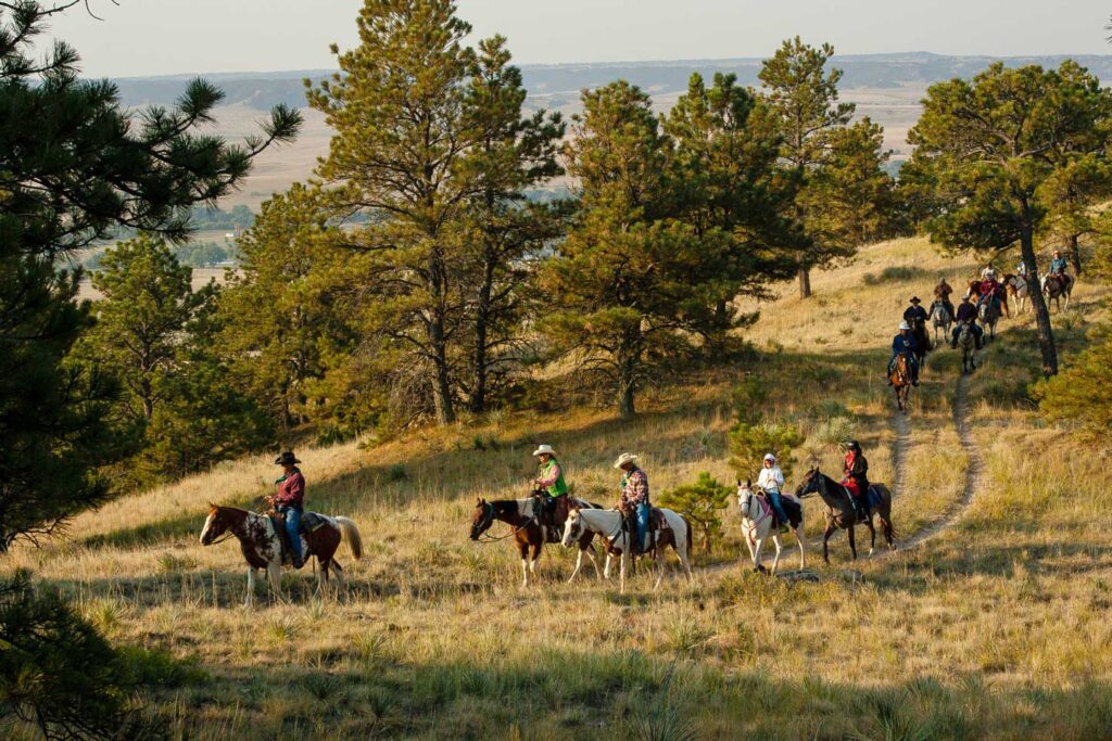 Exploring Different Horseback Riding Trails in Your Area