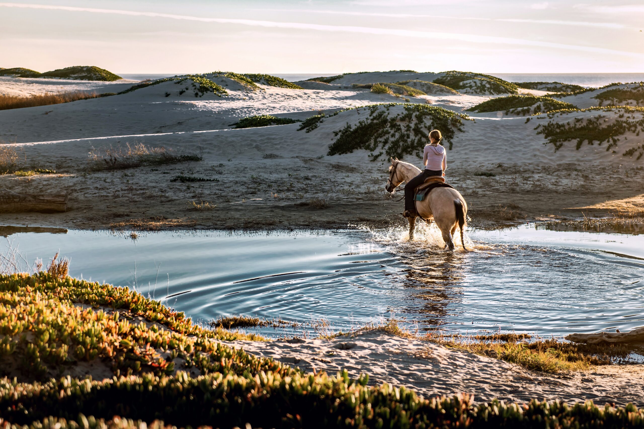 Exploring Different Styles of Horseback Riding