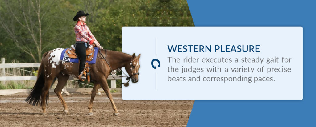 Finding the Perfect Horse for Your Riding Style