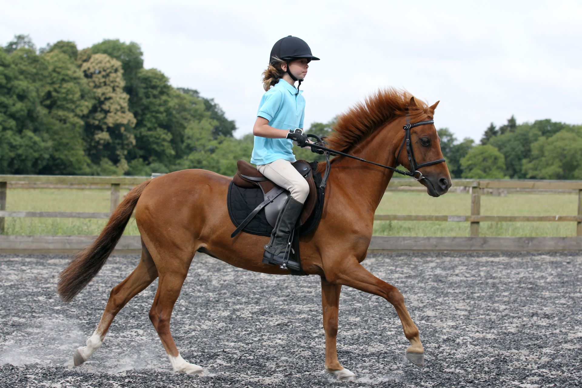 Horseback Riding: A Bonding Experience for Couples