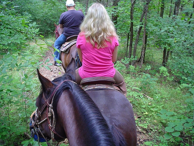 Horseback Riding: A Bonding Experience for Couples