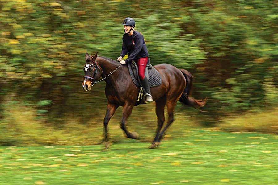 Horseback Riding and its Connection to Equestrian Sports