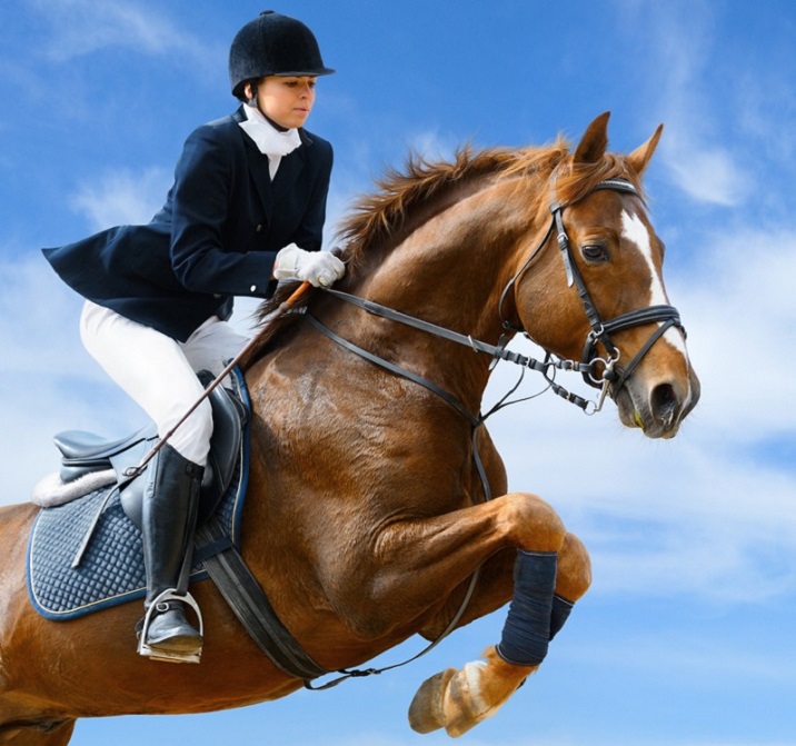 Horseback Riding and its Connection to Equestrian Sports