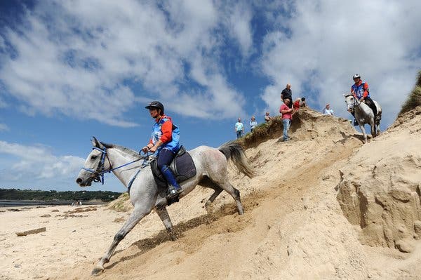 Horseback Riding and its Connection to Equestrian Sports