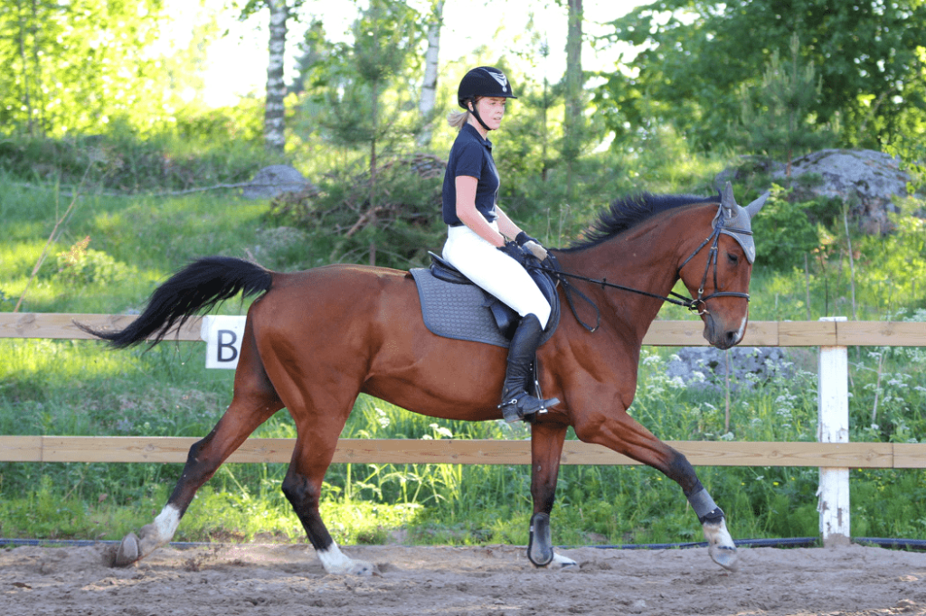 Horseback Riding and its Impact on Balance