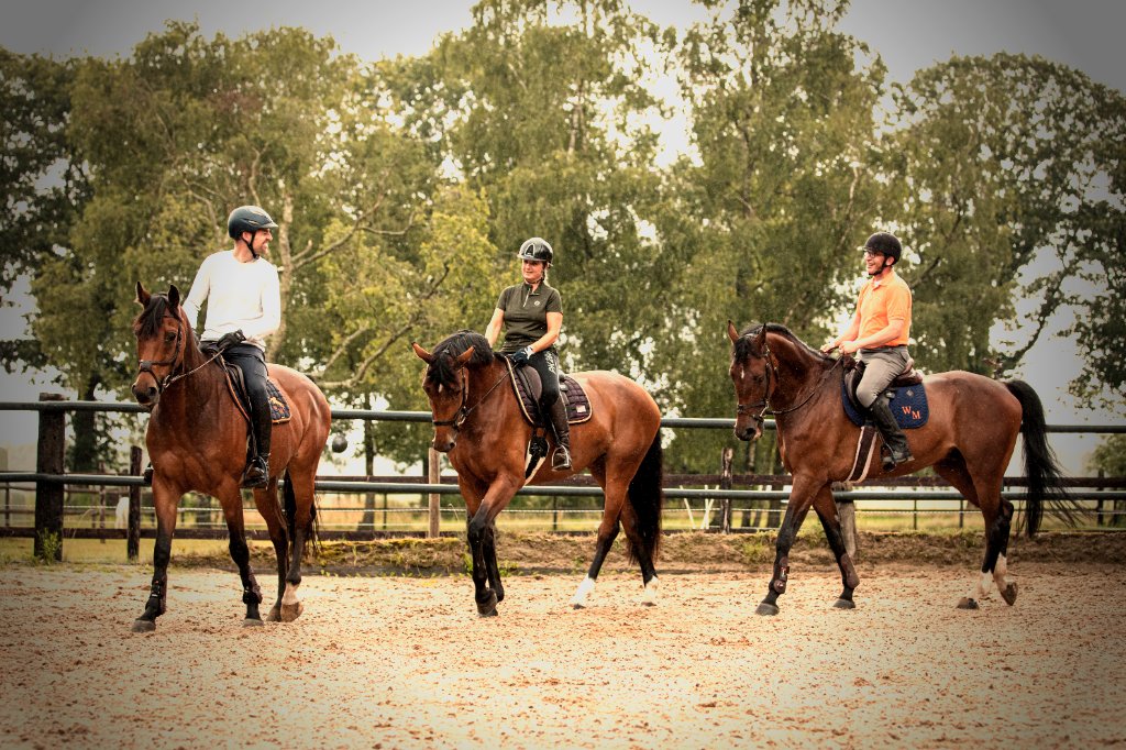 Horseback Riding and its Impact on Balance