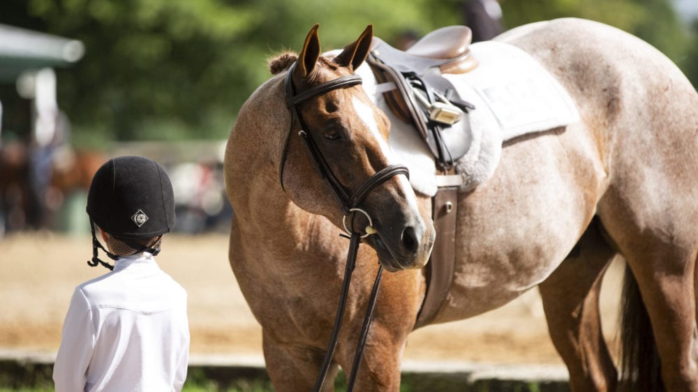 Horseback Riding and its Influence on Discipline