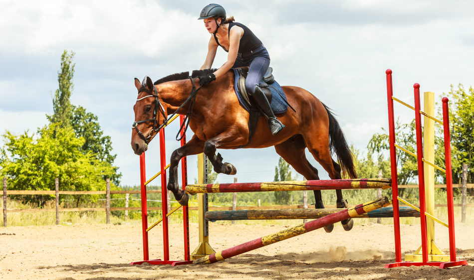 Horseback Riding and its Influence on Discipline