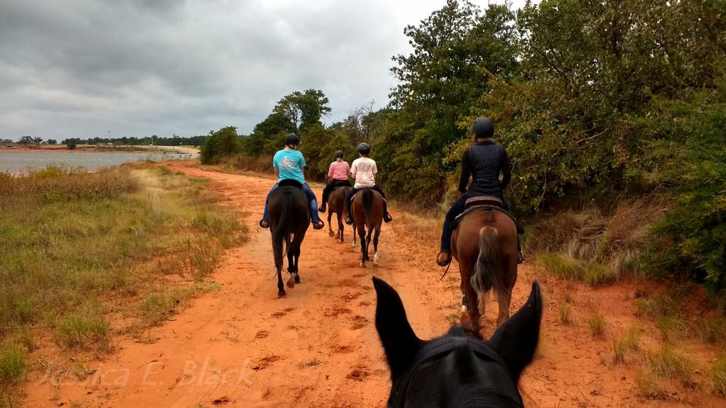 Horseback Riding Etiquette: Dos and Donts