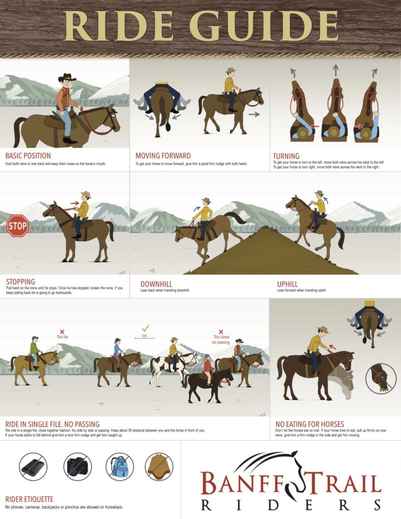 Horseback Riding Etiquette: Dos and Donts