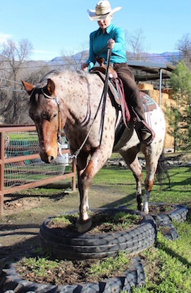 Overcoming Challenges in Horseback Riding