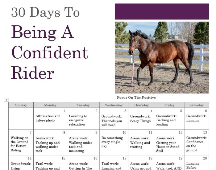 Overcoming Challenges in Horseback Riding