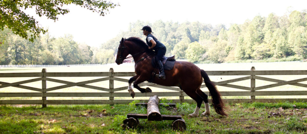 Overcoming Obstacles in Horseback Riding