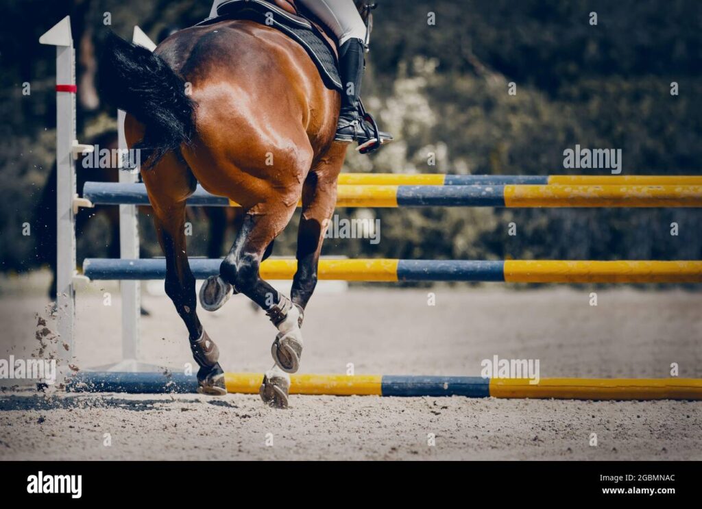 Overcoming Obstacles in Horseback Riding