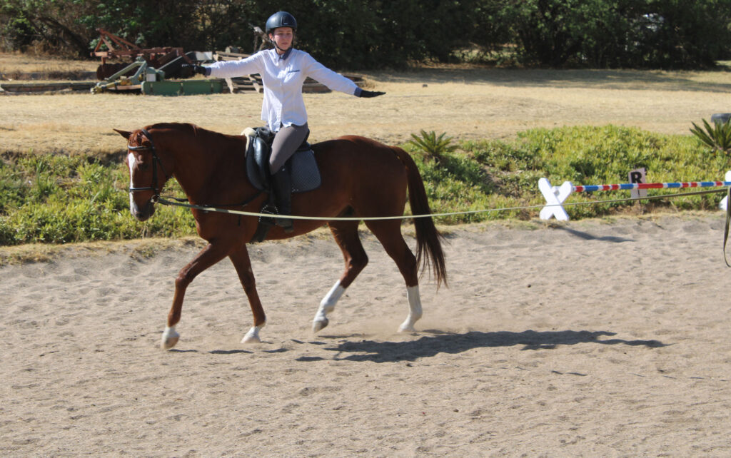 Staying in Balance: Tips for a Smooth Horseback Riding Experience