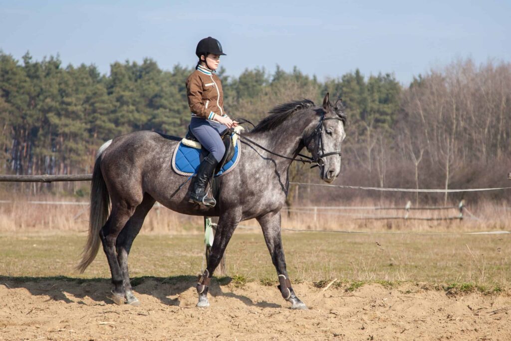 Staying in Balance: Tips for a Smooth Horseback Riding Experience