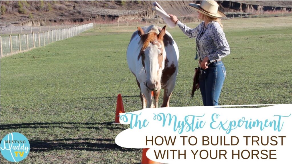 The Art of Building Trust with Your Horse