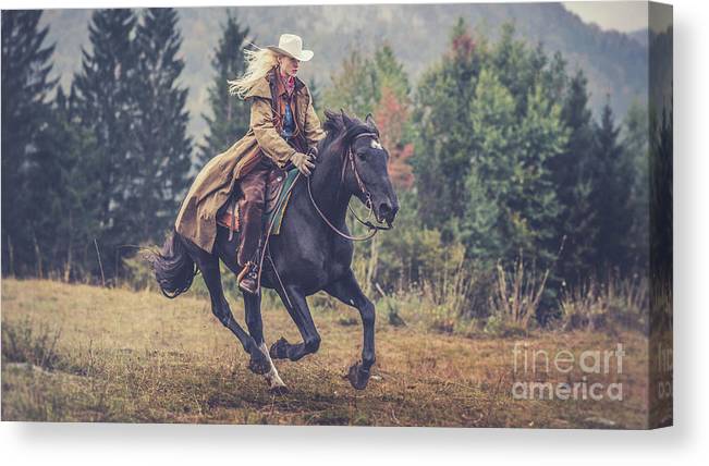 The Art of Horseback Riding Photography