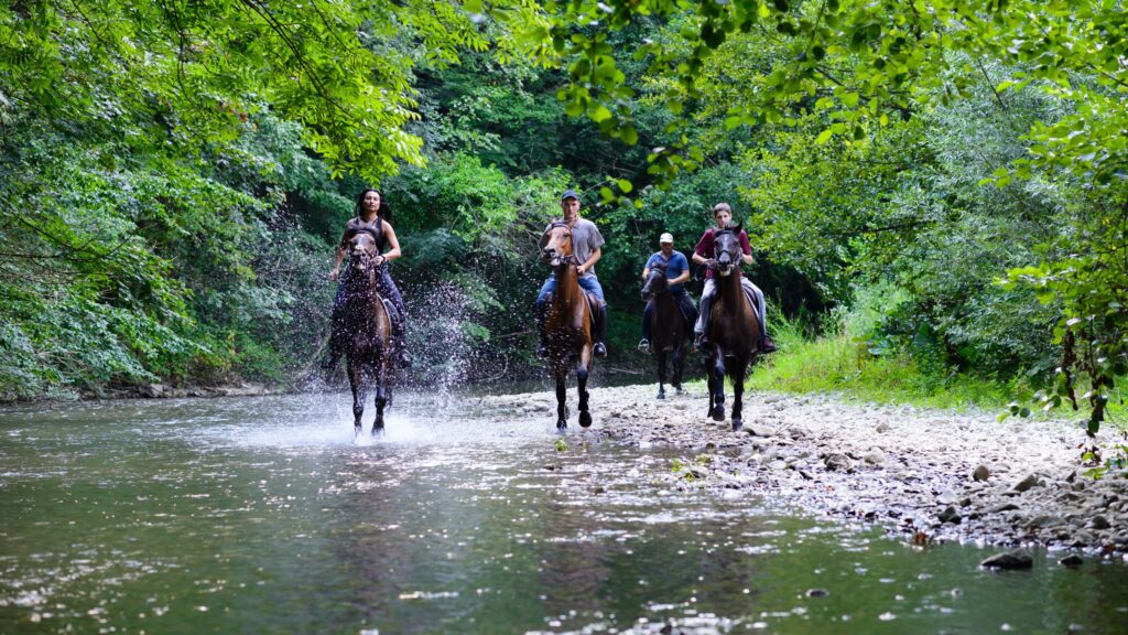 The Beauty of Horseback Riding in the Countryside