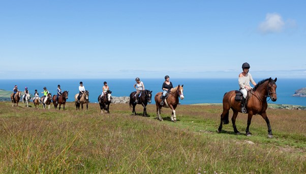 The Beauty of Horseback Riding in the Countryside