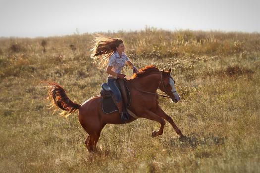 The Beauty of Horseback Riding in the Countryside