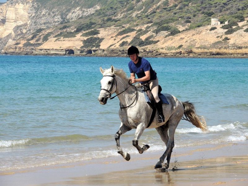 The Beauty of Horseback Riding on the Beach