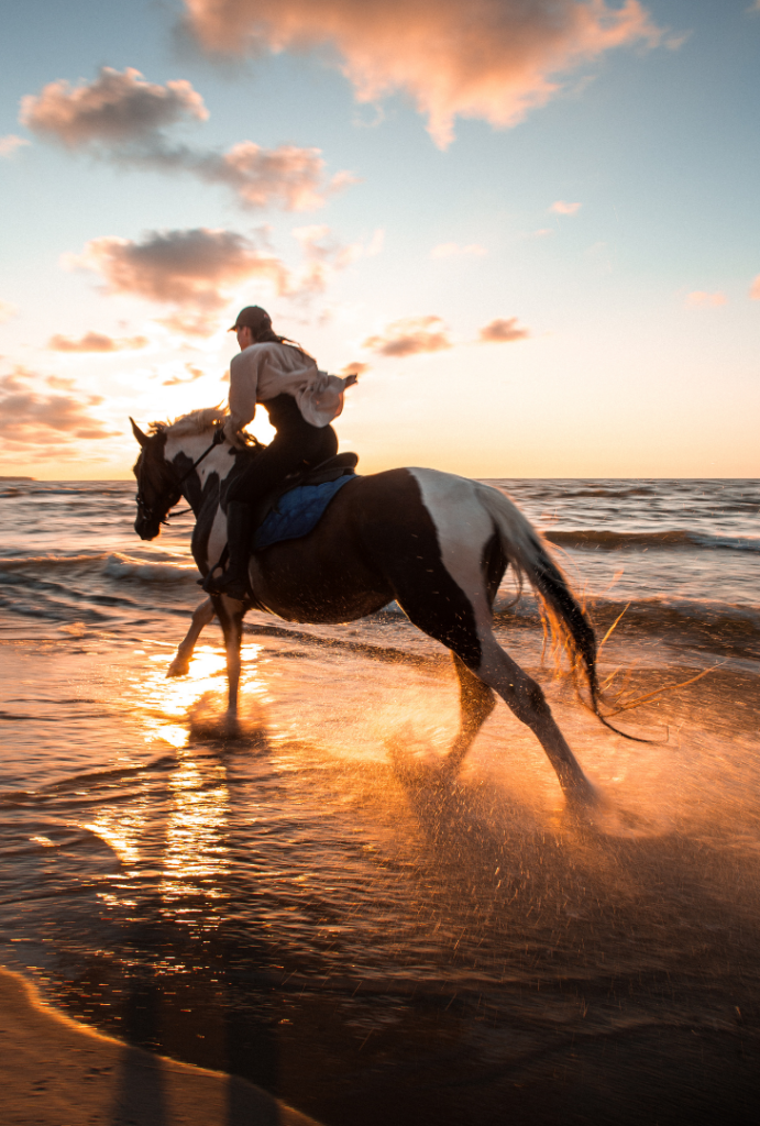 The Beauty of Horseback Riding on the Beach