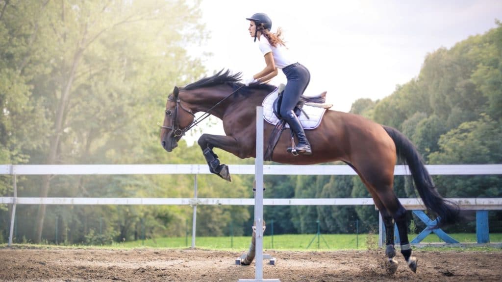 The Benefits of Horseback Riding for Physical Fitness