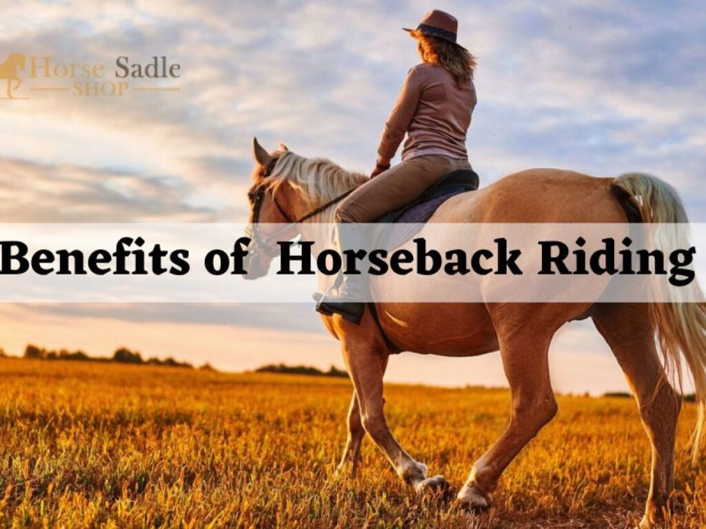 The Benefits of Horseback Riding for Stress Relief