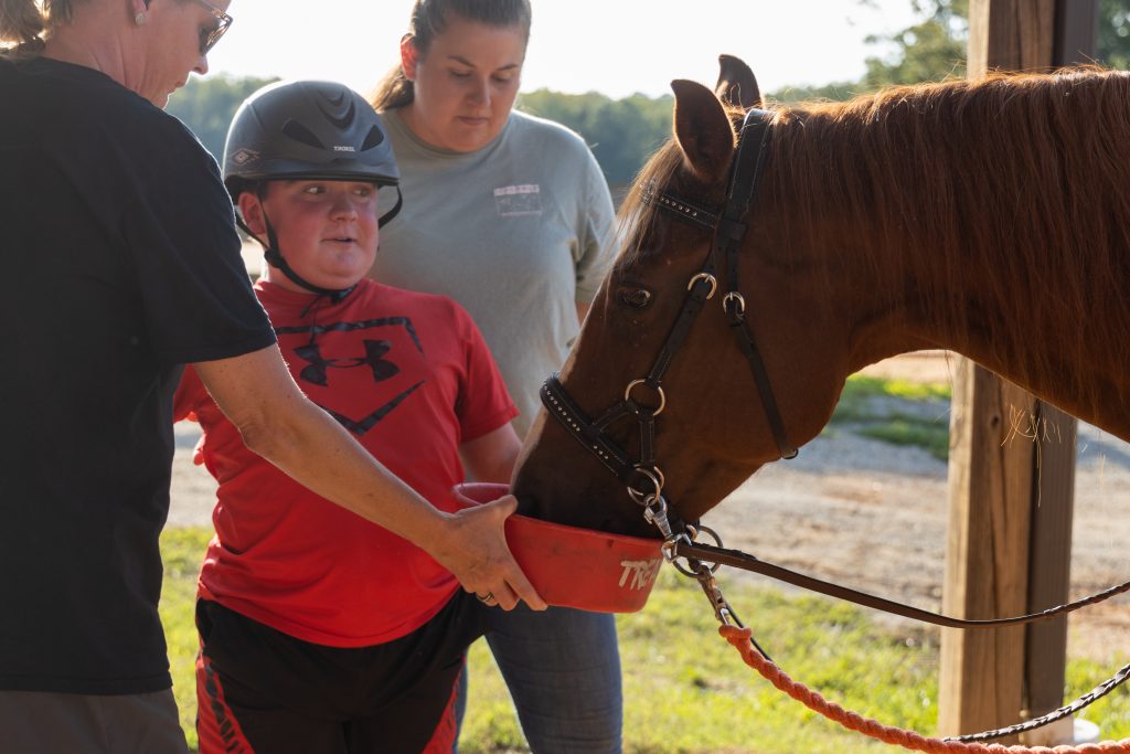 The Bond Between a Rider and their Horse: Stories from the Community