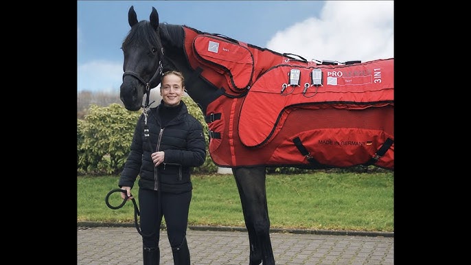 The Bond Between a Rider and their Horse: Tales of Friendship