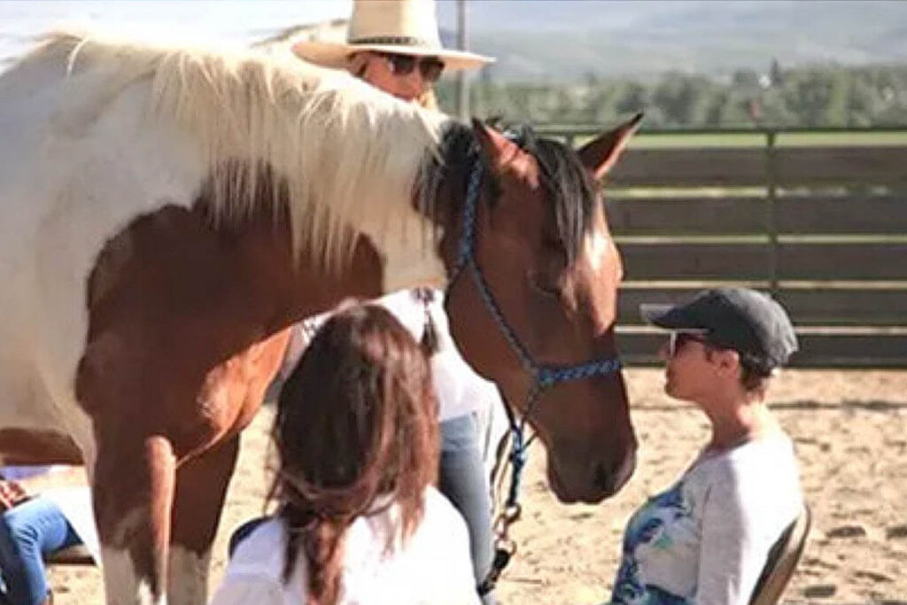 The Connection Between Horseback Riding and Meditation