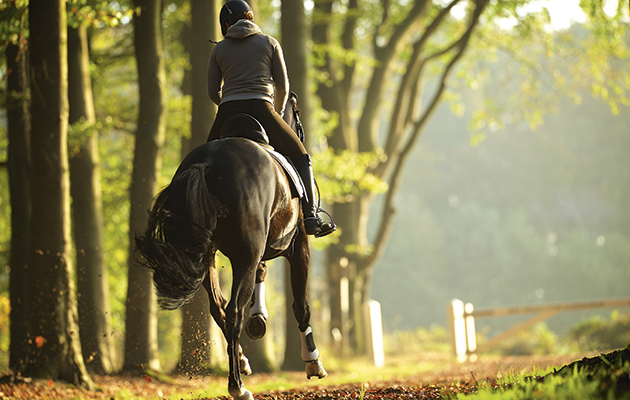 The Connection Between Horseback Riding and Nature