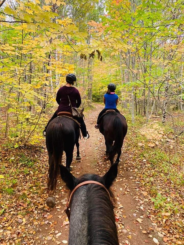 The Connection Between Horseback Riding and Nature