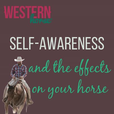 The Connection Between Horseback Riding and Self-Reflection