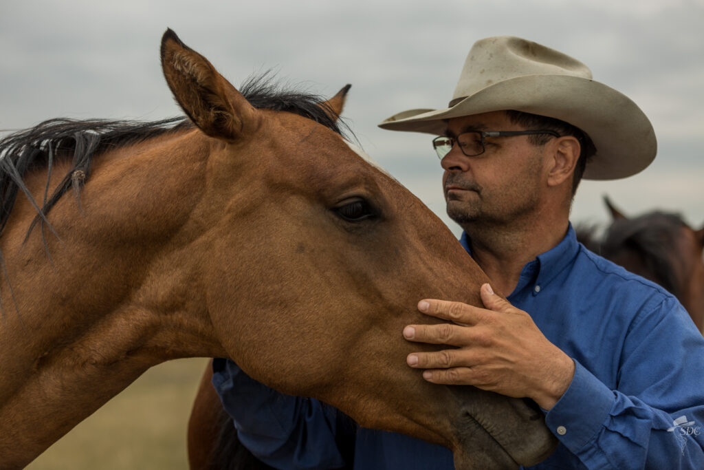 The Impact of Horseback Riding on Mental Health